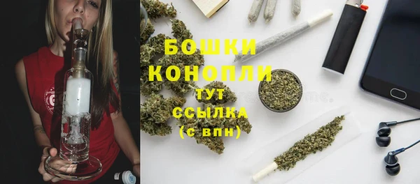ешки Белокуриха