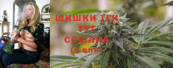 ECSTASY Богородск