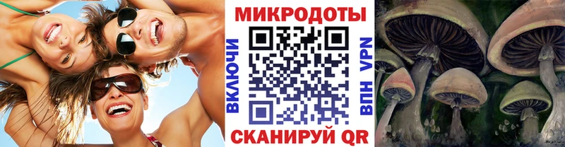 KRAKEN зеркало  это какой сайт  Галлюциногенные грибы GOLDEN TEACHER  Оха 